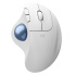 Logitech ERGO M575S Wireless Trackball - OFFWHITE+BLUE