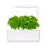 Smart Garden Lesné jahody