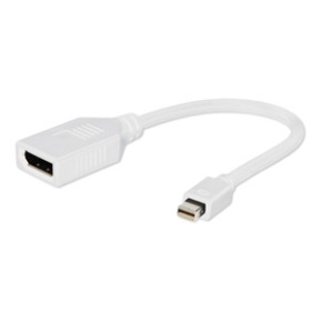 Mini DisplayPort adapter, white