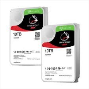 Seagate Ironwolf NAS HDD 10TB SATA