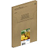 EPSON Multipack 4-farebné 604XL EasyMail