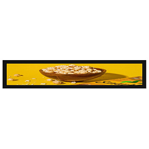 21.1" Artemis BAR-1920x371,500cd, AN, 24/7 21.1" Artemis BAR-1920x371,500cd, AN, 24/7