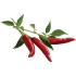 kapsule so semienkami a substrátom 3ks, Click and Grow chilli papričky