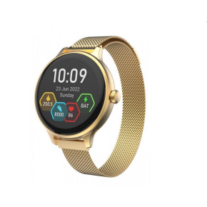 CARNEO Hero mini HR+ gold