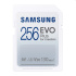 Samsung EVO Plus 256GB SDXC