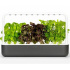 smart kvatináč + 9ks semenných kapsúl, Click and Grow Smart Garden 9, sivý